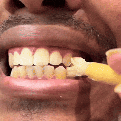 Uralte Miswak-Zahnbürste