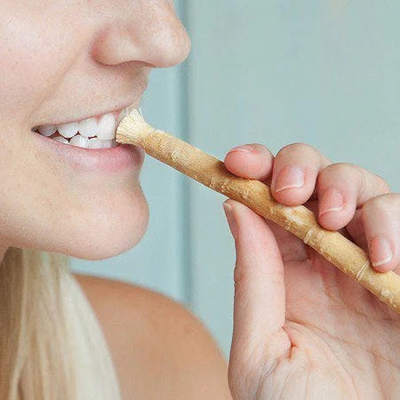 Uralte Miswak-Zahnbürste