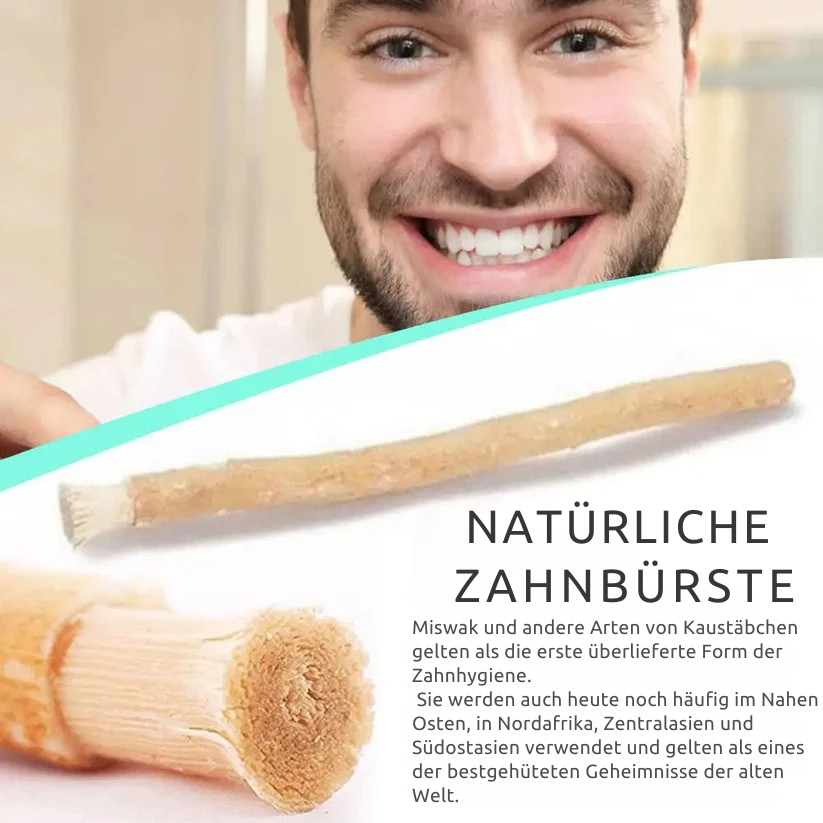 Uralte Miswak-Zahnbürste
