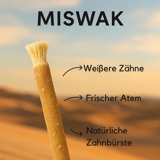Uralte Miswak-Zahnbürste